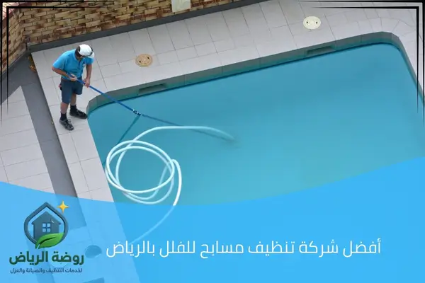 أفضل شركة تنظيف مسابح للفلل بالرياض